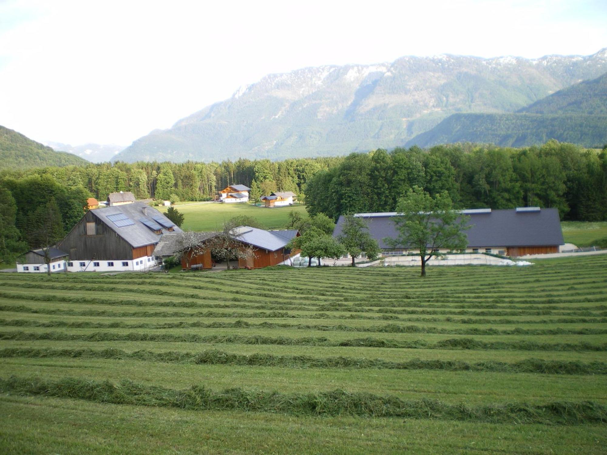 Вілла Russbachbauer Sankt Wolfgang im Salzkammergut Екстер'єр фото