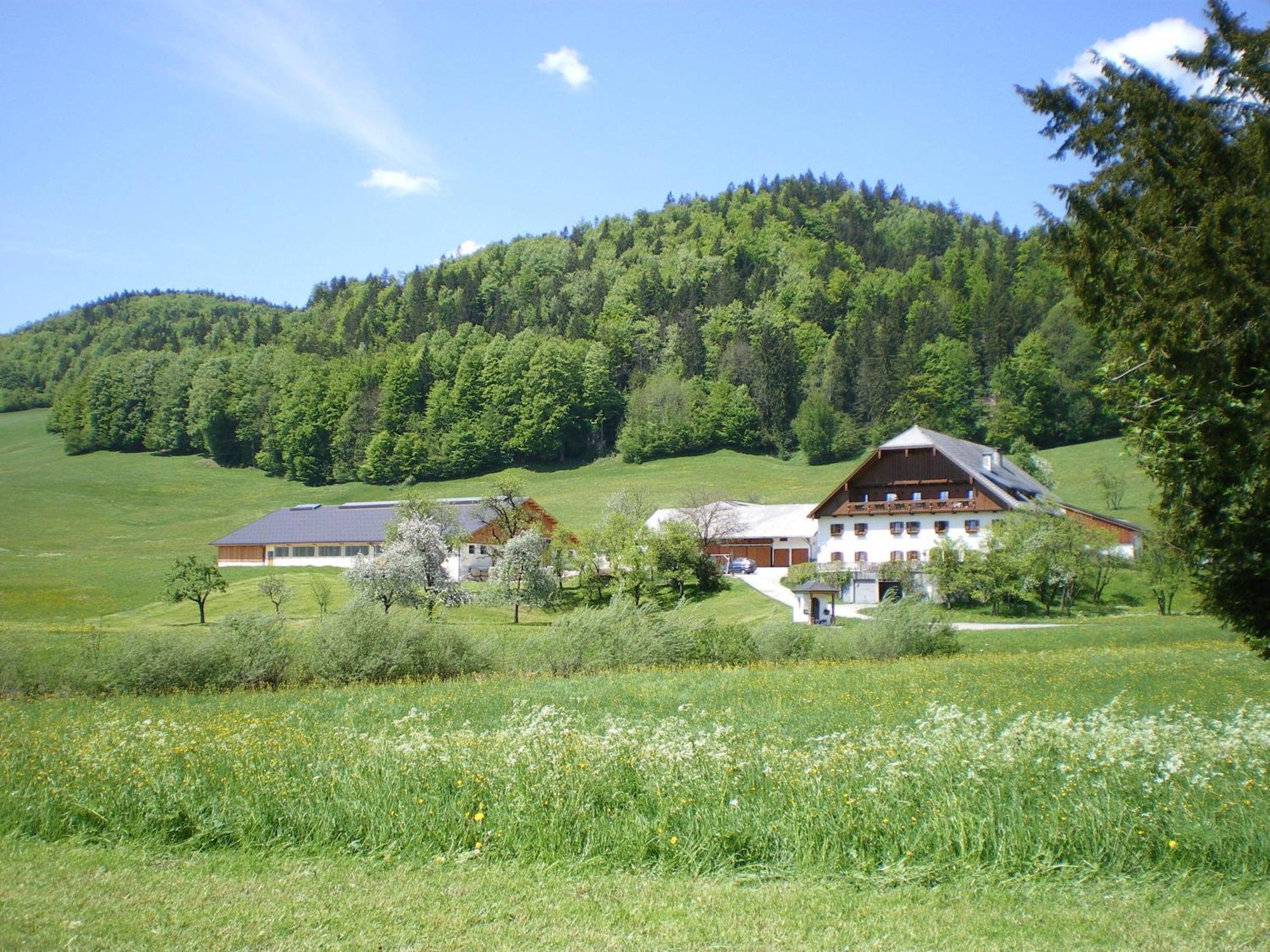 Вілла Russbachbauer Sankt Wolfgang im Salzkammergut Екстер'єр фото